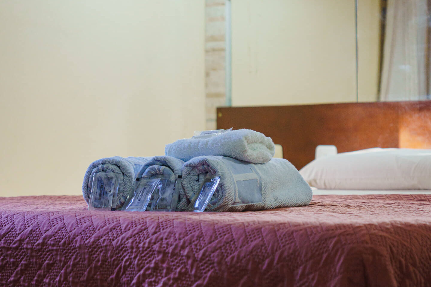 Detalhes da acomodação do Hotel La Campaña